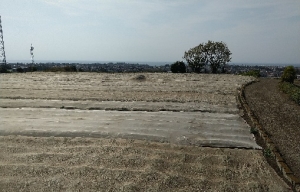 Source image 3