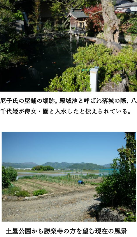Source image 3