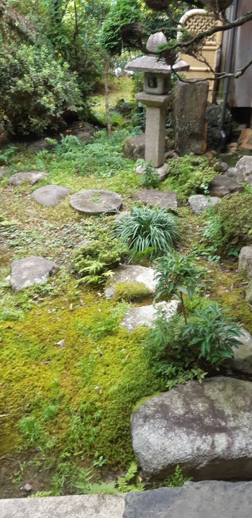 Source image 2