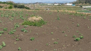 Source image 2